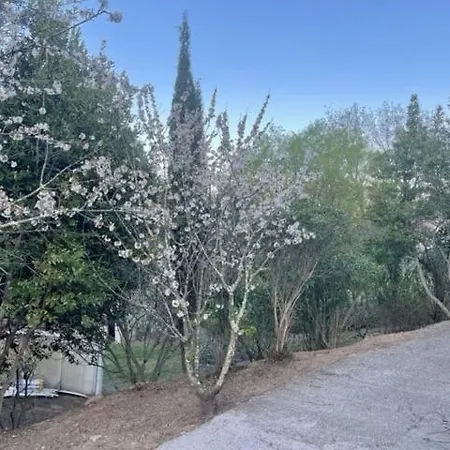 Au Bon Vivre Apartment *