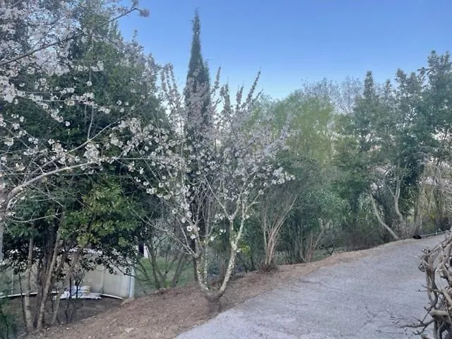 Au Bon Vivre 아파트 *